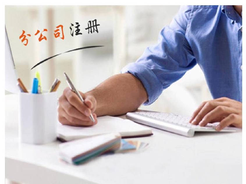 萍乡高效代理营业执照和代办工商注册及设立标准登记办理服务？